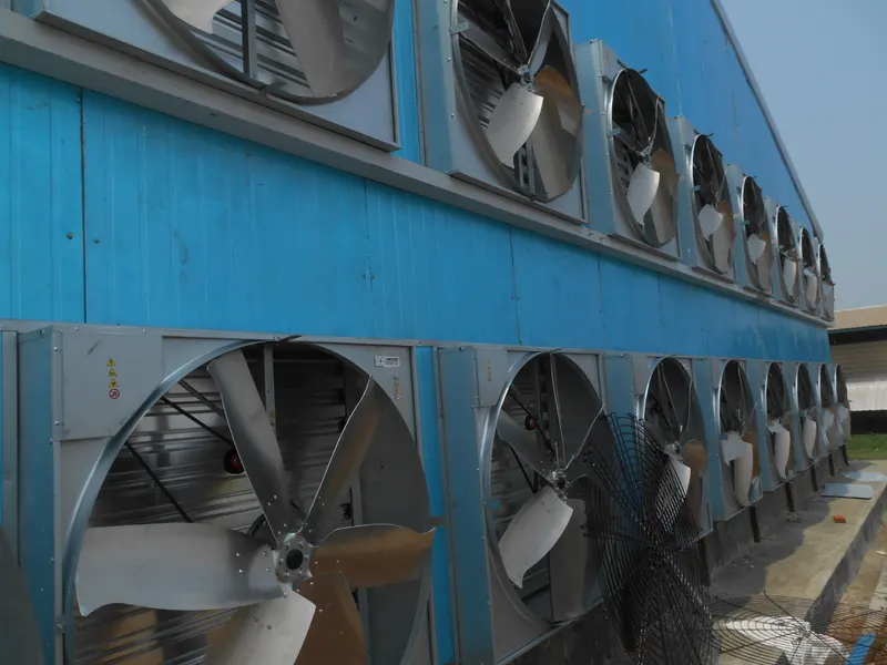Dokumentasi proyek Kandang Ayam Close House, Serang, Banten