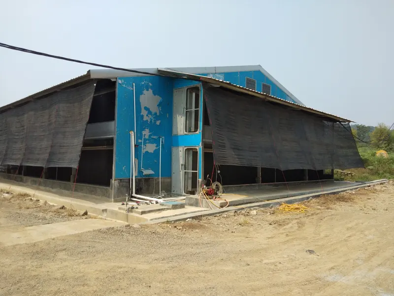 Dokumentasi proyek Kandang Ayam Close House, Serang, Banten