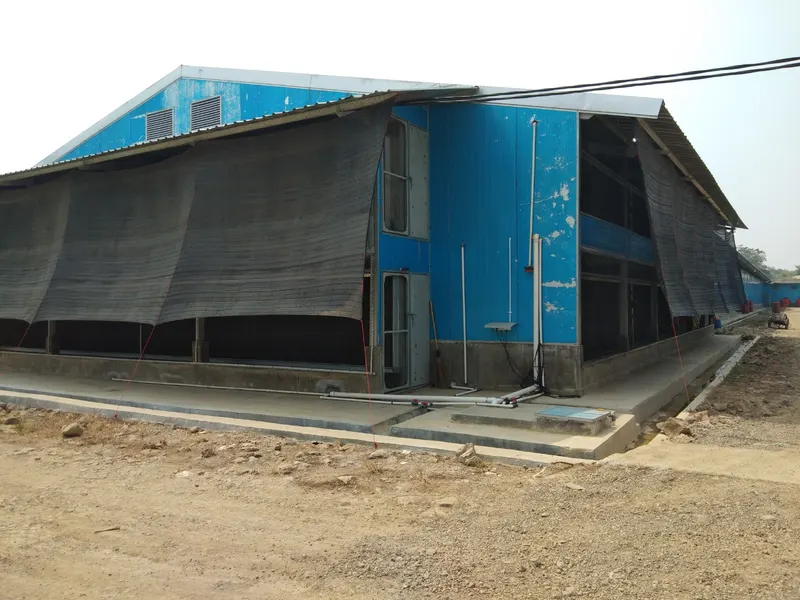 Dokumentasi proyek Kandang Ayam Close House, Serang, Banten